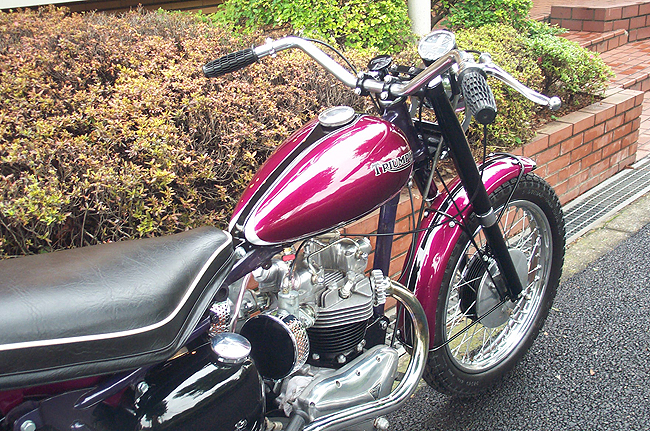 Triumph 6T Custom kʑ650EgtETwinLudll