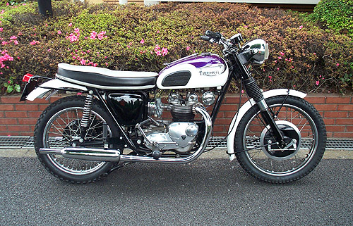 Triumph T100 k500l Tiger
