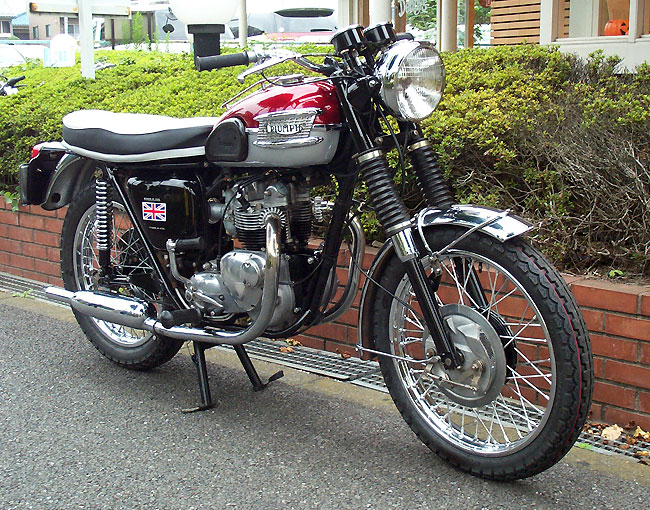Triumph  s100k250lTiger