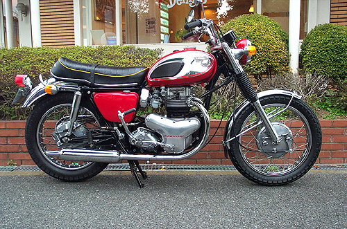 W1-Sk650l