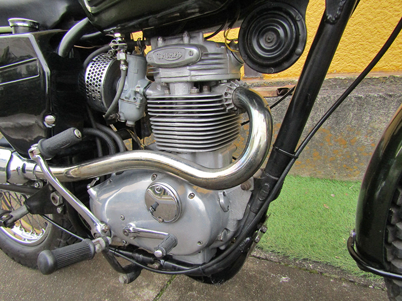 Triumph �s�q�Q�T�v�k250�l