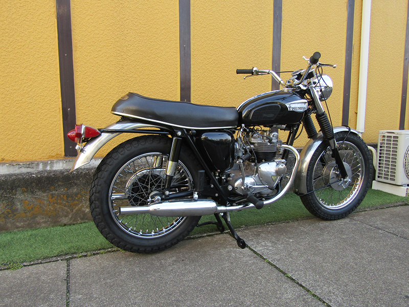 Triumph T100�b�k500�l