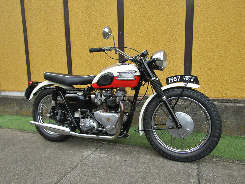 Triumph�@�s�q-�U�k650�l