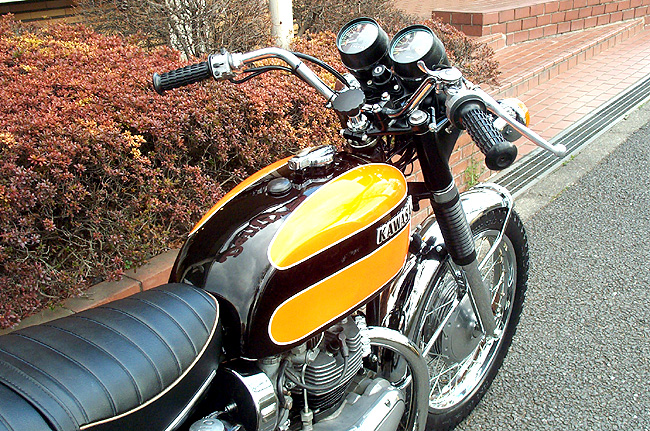 W1-SA(650)