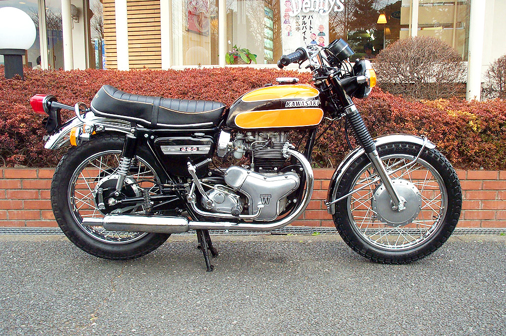 W1-SA(650)