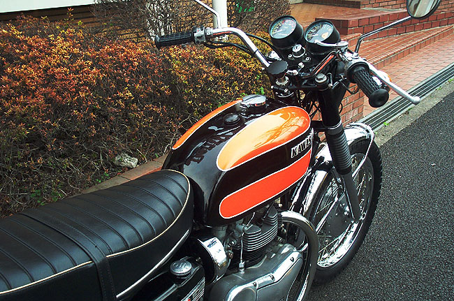 W1-SAm650n